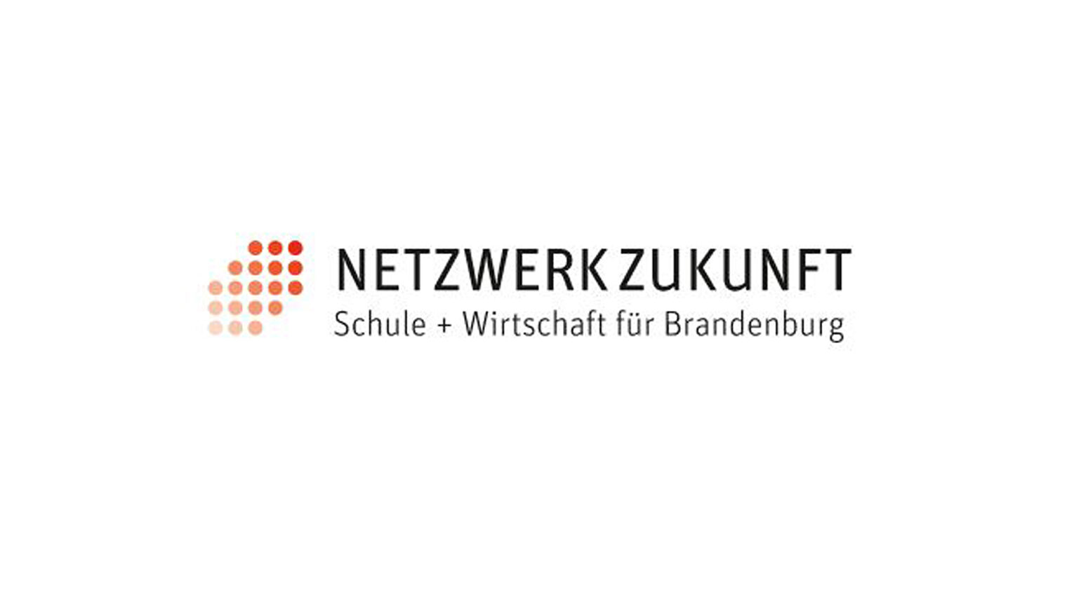 Logo_NetzwerkZukunft